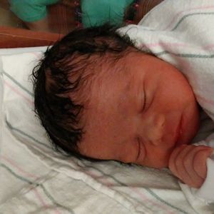 Meet your Posher, Donna